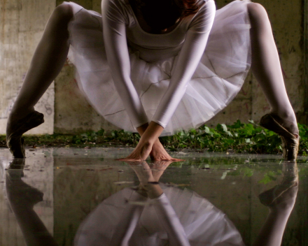 spider ballet reflectie in water